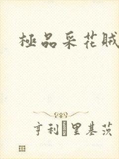 极品采花贼封面