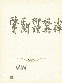 陈风柳婉小说免费阅读无弹窗