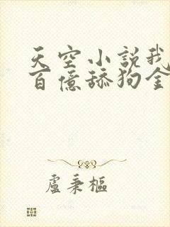 天空小说我拥有百亿舔狗金