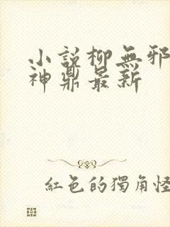 小说柳无邪吞天神鼎最新