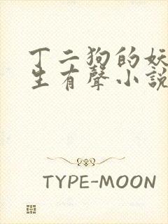 丁二狗的妖孽人生有声小说