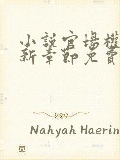 小说官场权欲最新章节免费阅读