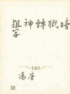 狙神转职暗影刺客