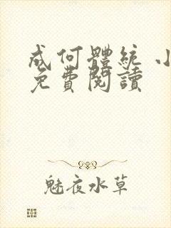 成何体统 小说免费阅读封面