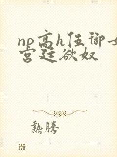 np高h伍御女宫廷欲奴