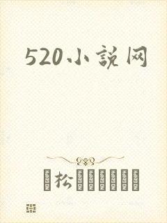 520小说网封面