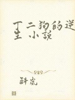 丁二狗的逆袭人生 小说