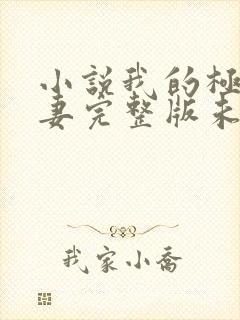 小说我的极品娇妻完整版未删减小说