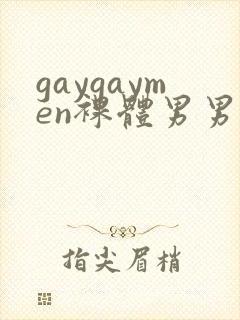 gaygaymen裸体男男xxxvide0b0y…