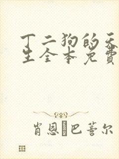 丁二狗的天梯人生全本免费阅读
