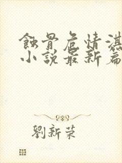 蚀骨危情淇老游小说最新篇章