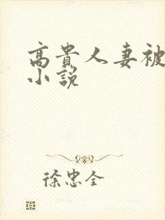 高贵人妻被调教小说封面