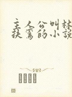 主人公叫林辰柳扶鸾的小说