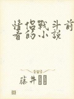 情侣战斗前适合看的小说