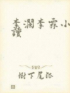 李澜李霖小说阅读封面