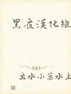 黑夜汉化组封面