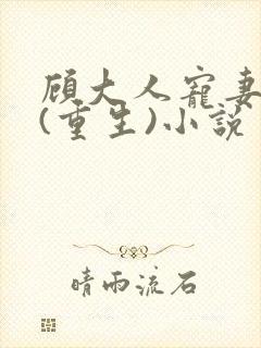 顾大人宠妻如命(重生)小说