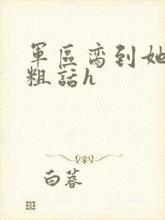 军区脔到她哭h粗话h封面