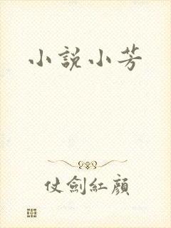 小说小芳
