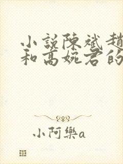 小说陈斌赵心媚和高婉君的小说免费阅读