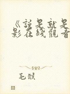 《说是就是》电影在线观看