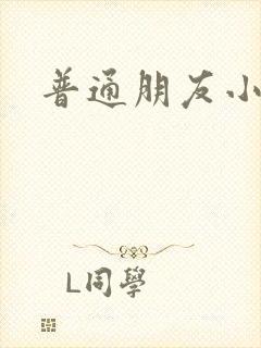 普通朋友小说