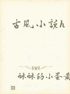 古风小说h封面