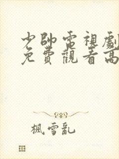 少帅电视剧全集免费观看高清在线观看封面