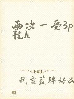 两攻一受3p双龙h
