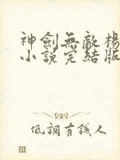 神剑无敌杨小天小说完结版封面