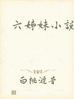 六姊妹小说
