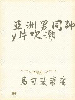 亚洲男同帅gay片吹潮