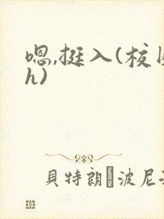 嗯,挺入(校园h)