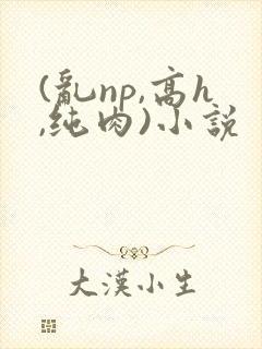 (乱np,高h,纯肉)小说
