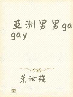 亚洲男男gaygay