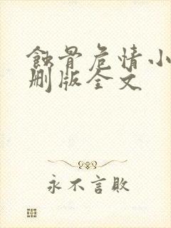 蚀骨危情小说未删版全文