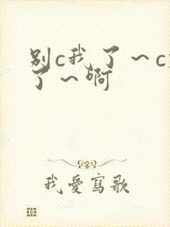 别c我了～c烂了～啊封面