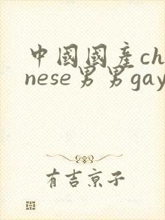 中国国产chinese男男gay gay网站