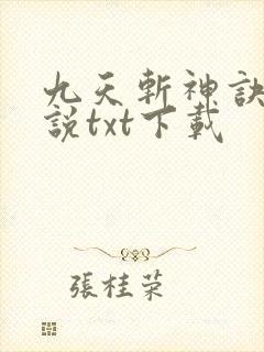 九天斩神诀 小说txt下载