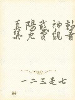 真阳武神动漫全集免费观看封面