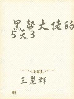 黑帮大佬的365天3