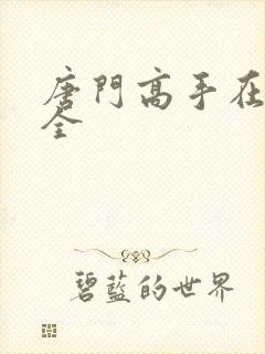 唐门高手在异世全封面