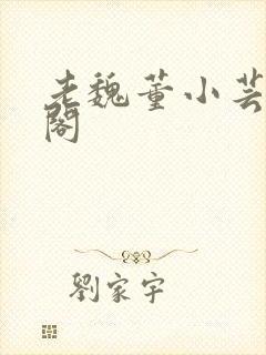 老魏董小芸趣笔阁