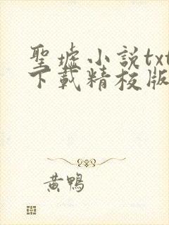 圣墟小说txt下载精校版