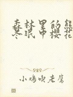 森林里的熊先生冬眠中樱花动漫