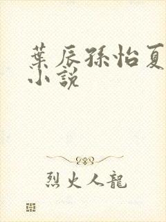 叶辰孙怡夏若雪小说