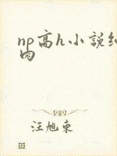 np高h小说纯肉