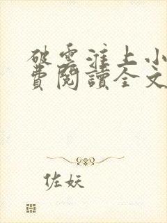 破云淮上小说免费阅读全文封面