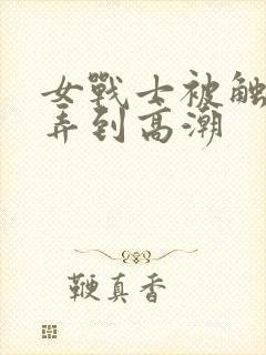 女战士被触手玩弄到高潮封面