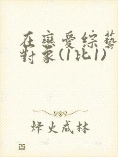 在恋爱综艺里搞对象(1比1)